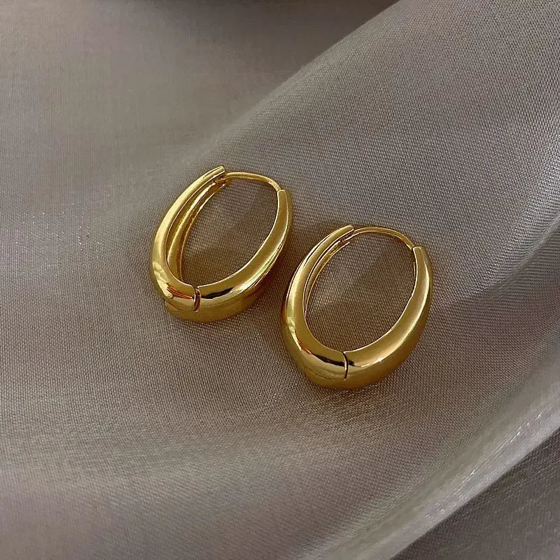 925 Sterling Silver hoop Earrings Simple Temperament Exquisite Hot Semale Sexy Jewelry Gift